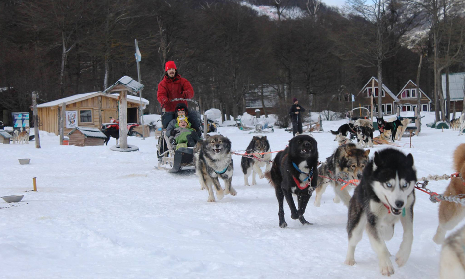 As 5 atividades para fazer com crianças em Ushuaia | Moebius Travel